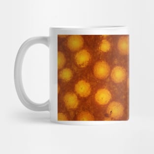 Lobster mushroom under the microscope, transmitted light Mug